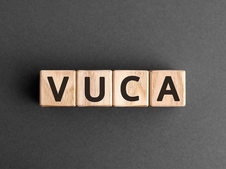 vuca-1